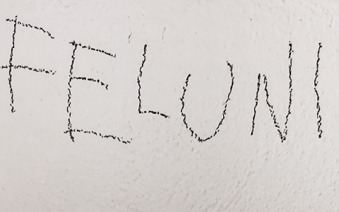 Feluni - plakat